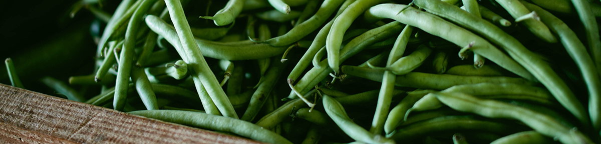 green beans photo